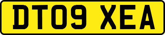 DT09XEA