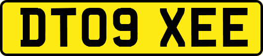DT09XEE