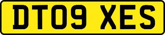 DT09XES