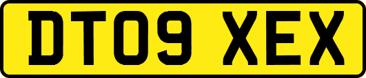 DT09XEX