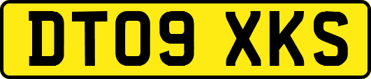 DT09XKS