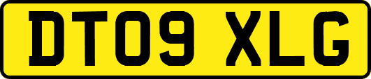 DT09XLG