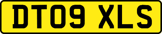 DT09XLS