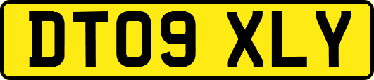 DT09XLY