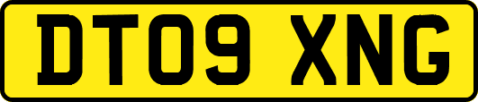 DT09XNG