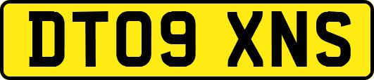 DT09XNS