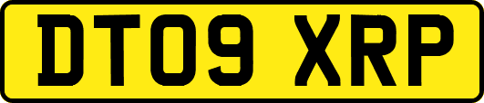 DT09XRP