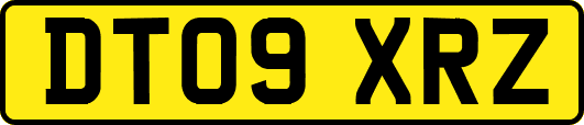 DT09XRZ