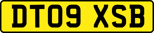 DT09XSB
