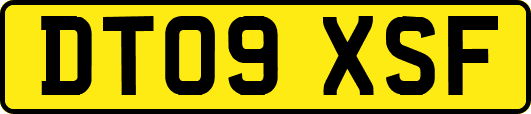 DT09XSF