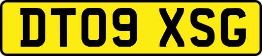 DT09XSG