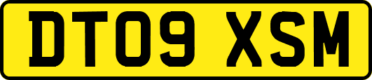DT09XSM