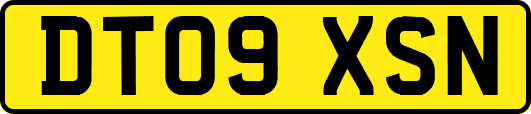 DT09XSN