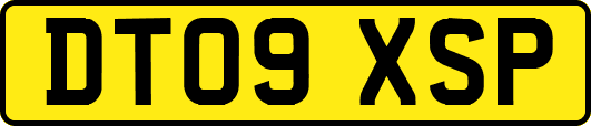 DT09XSP