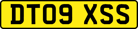 DT09XSS