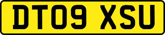 DT09XSU