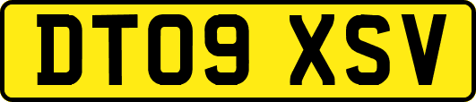 DT09XSV