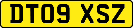 DT09XSZ
