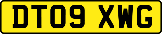 DT09XWG