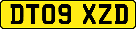 DT09XZD