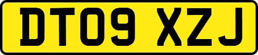 DT09XZJ