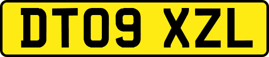 DT09XZL