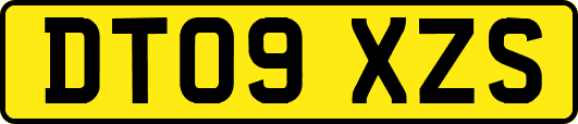 DT09XZS