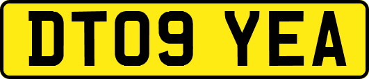DT09YEA