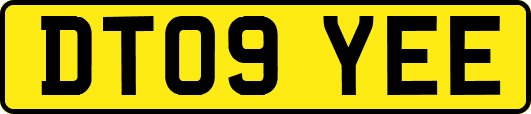 DT09YEE
