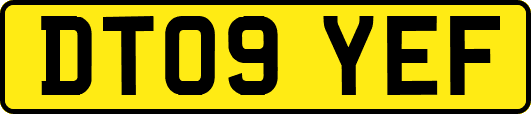 DT09YEF