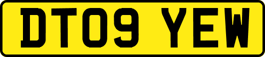 DT09YEW