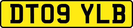 DT09YLB