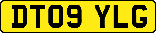 DT09YLG