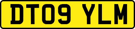 DT09YLM