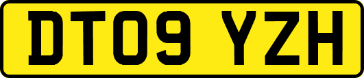 DT09YZH