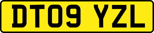 DT09YZL