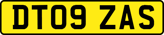 DT09ZAS