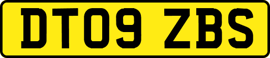 DT09ZBS