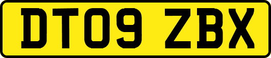 DT09ZBX