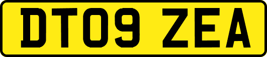 DT09ZEA