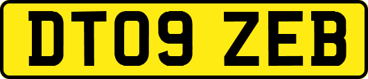 DT09ZEB