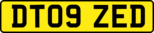 DT09ZED