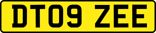 DT09ZEE