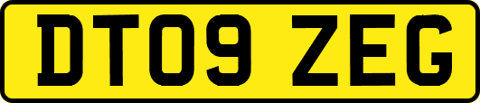 DT09ZEG