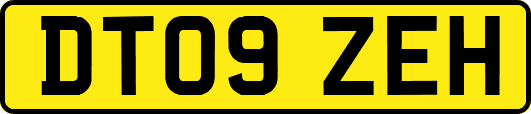 DT09ZEH