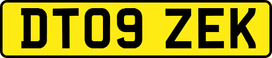 DT09ZEK