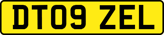 DT09ZEL