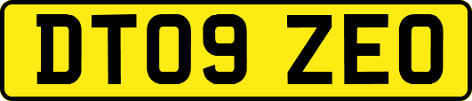 DT09ZEO