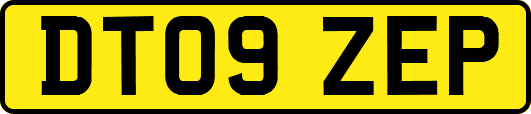 DT09ZEP