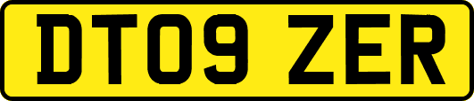 DT09ZER